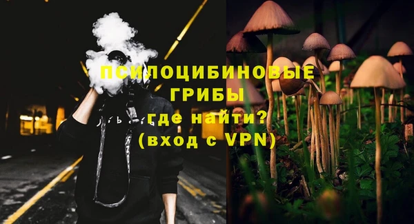 a pvp Алексин