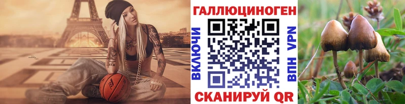 купить   Тайшет  Псилоцибиновые грибы прущие грибы 