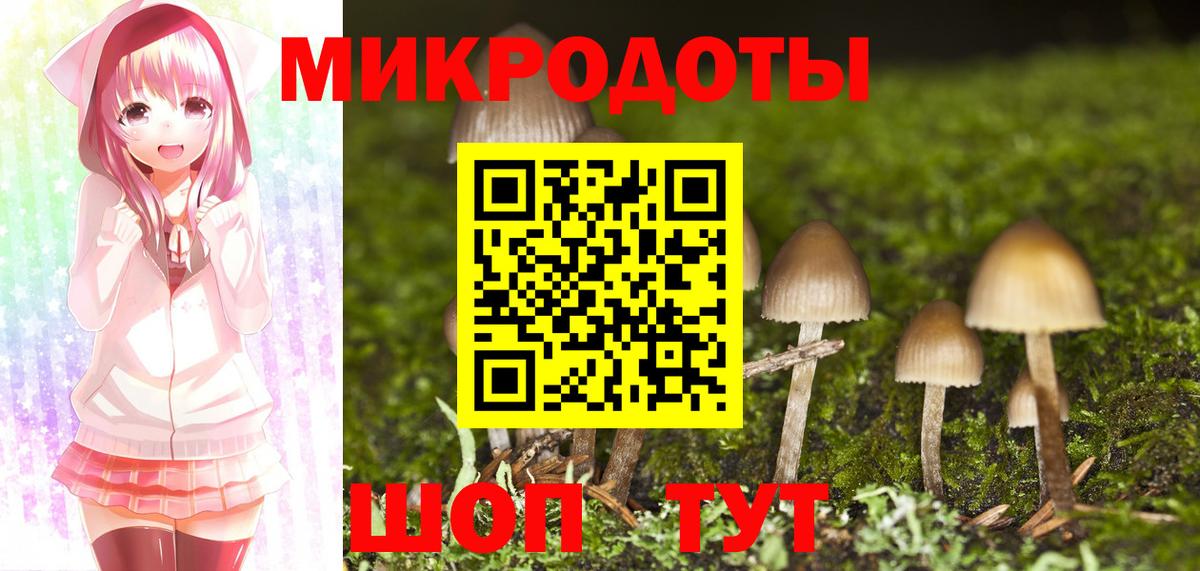 Тайшет  Галлюциногенные грибы мухоморы  Вход с VPN  Галлюциногенные грибы ЛСД 