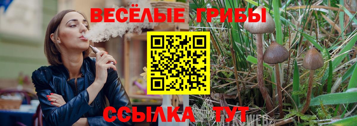 Галлюциногенные грибы мицелий Тайшет